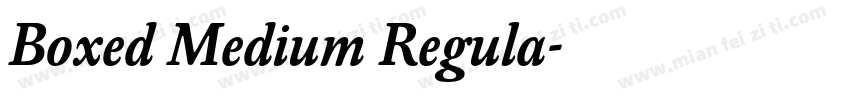 Boxed Medium Regula字体转换